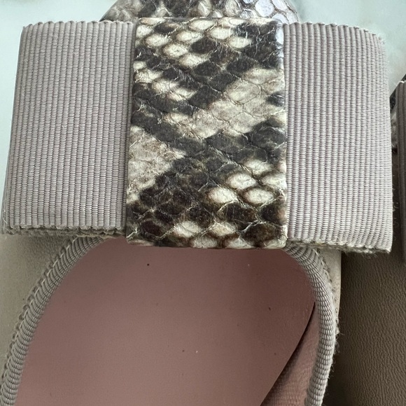 Perfect Ballerines✨ - Picture 3 of 6